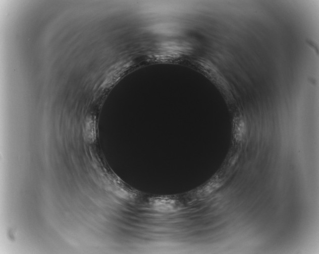 X0000100220471200805301350