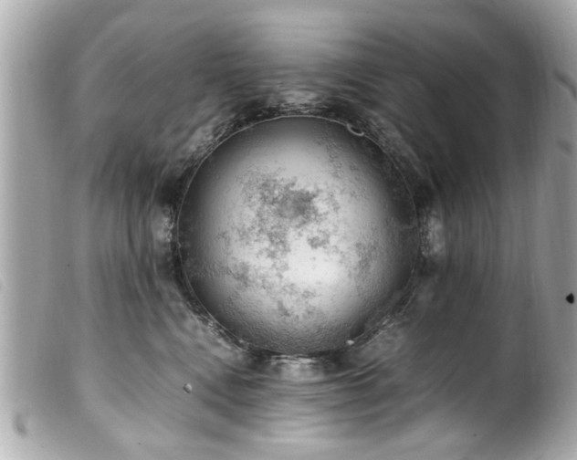 X0000100220472200805301350