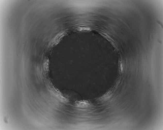 X0000100220475200805301350