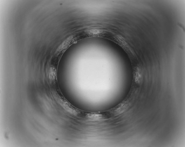 X0000100220476200805301350