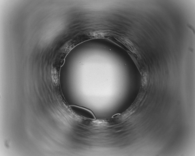 X0000100220477200805301350