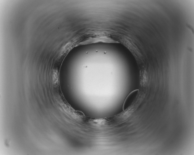 X0000100220478200805301350