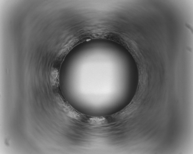 X0000100220480200805301350