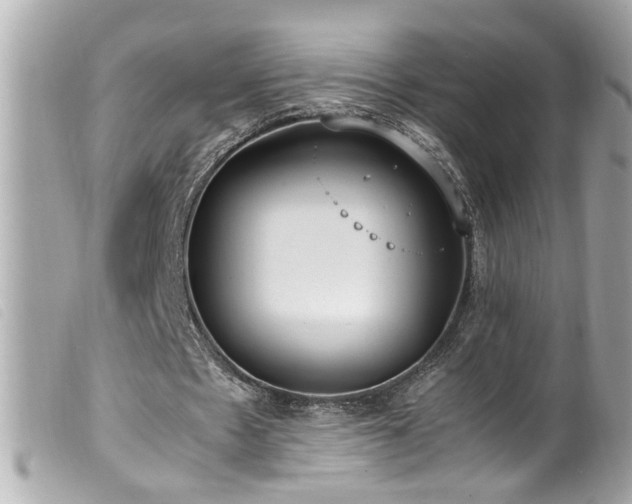 X0000100220481200805301350