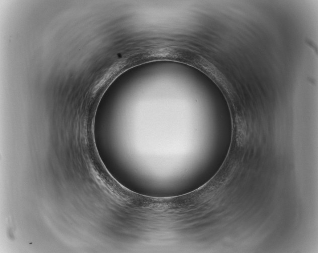 X0000100220482200805301350