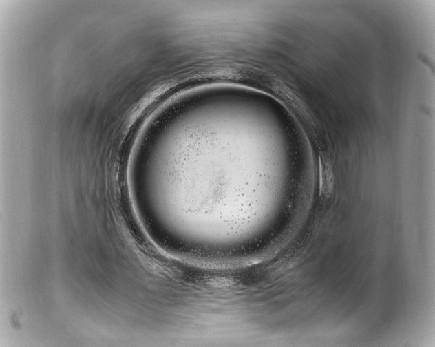 X0000100220483200805301350