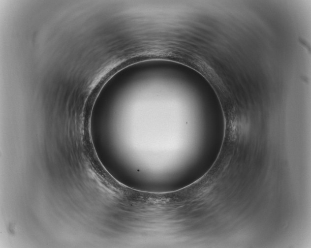 X0000100220484200805301350