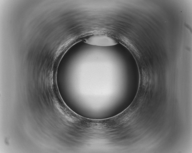 X0000100220486200805301350