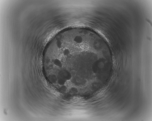 X0000100220487200805301350