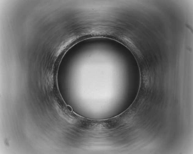 X0000100220488200805301350