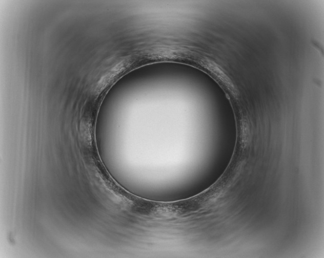 X0000100220489200805301350