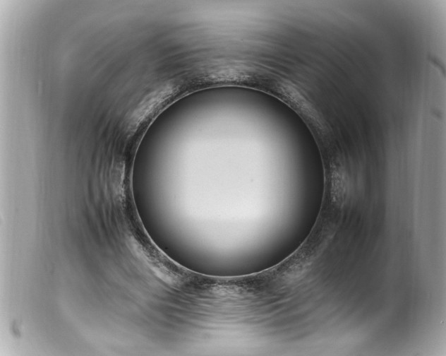 X0000100220490200805301350