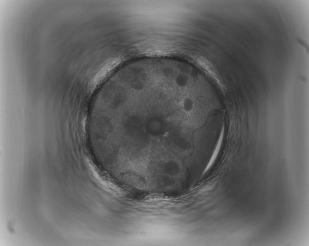 X0000100220491200805301350