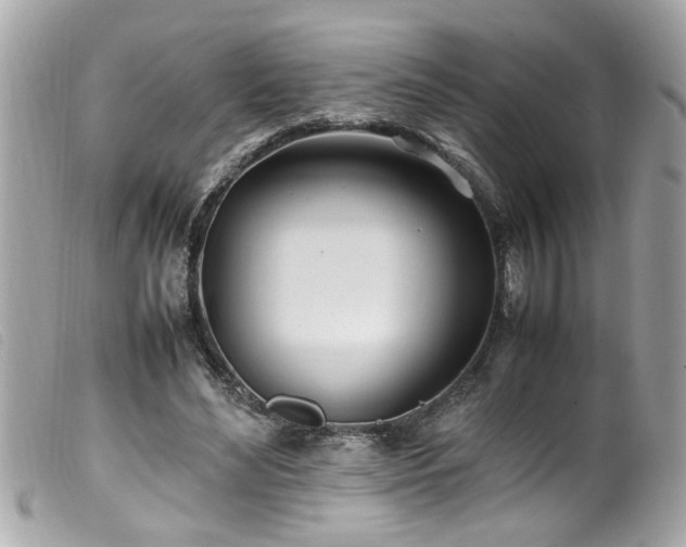 X0000100220492200805301350