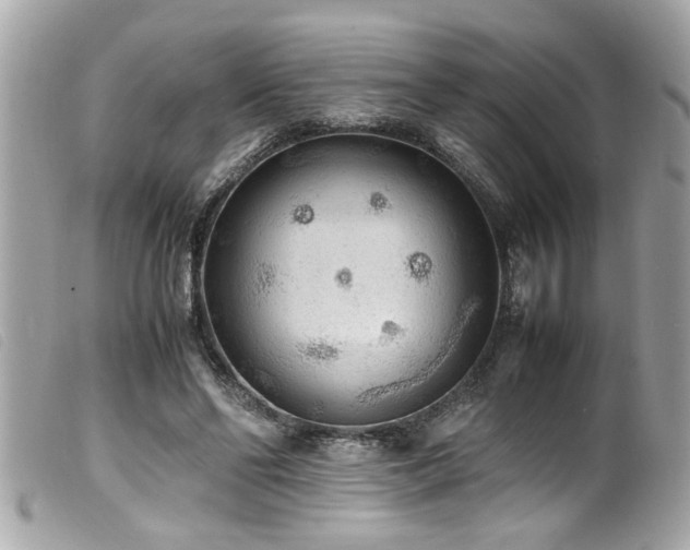 X0000100220494200805301350