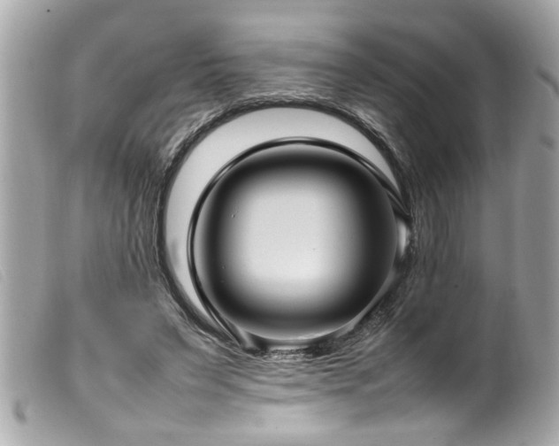 X0000100220495200805301350