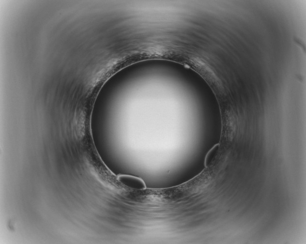 X0000100220496200805301350