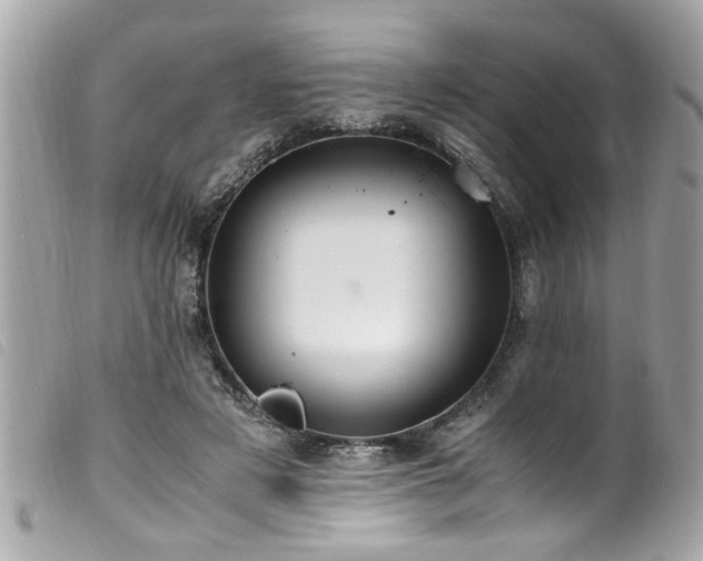 X0000100220497200805301350