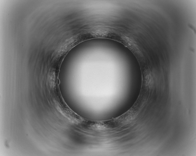 X0000100220498200805301350