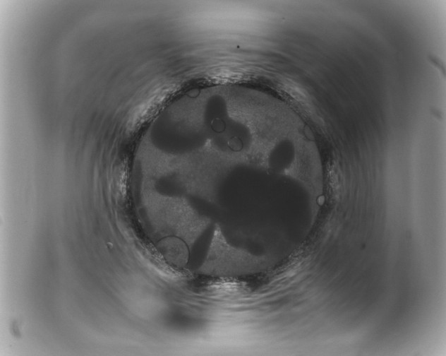 X0000100220499200805301350