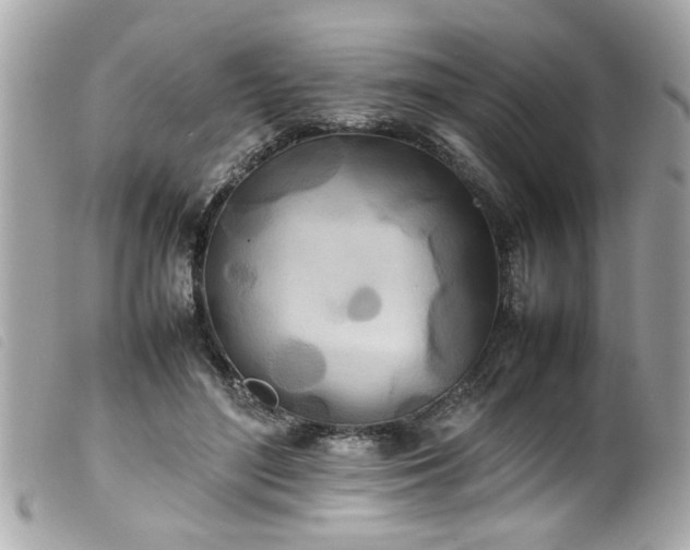 X0000100220500200805301350