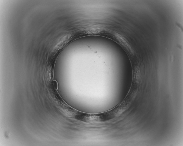 X0000100220501200805301350