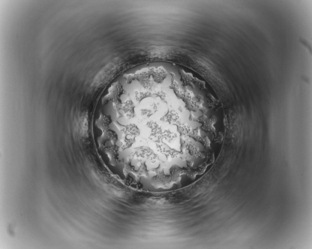 X0000100220502200805301350