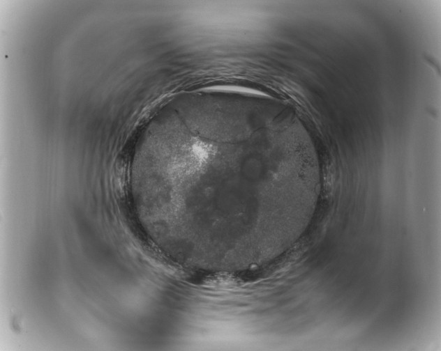 X0000100220503200805301350