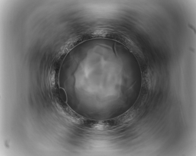 X0000100220504200805301350