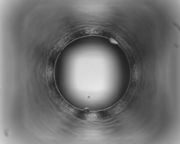 X0000100220513200805301349