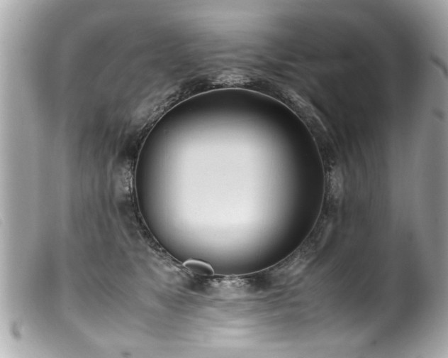 X0000100220517200805301349