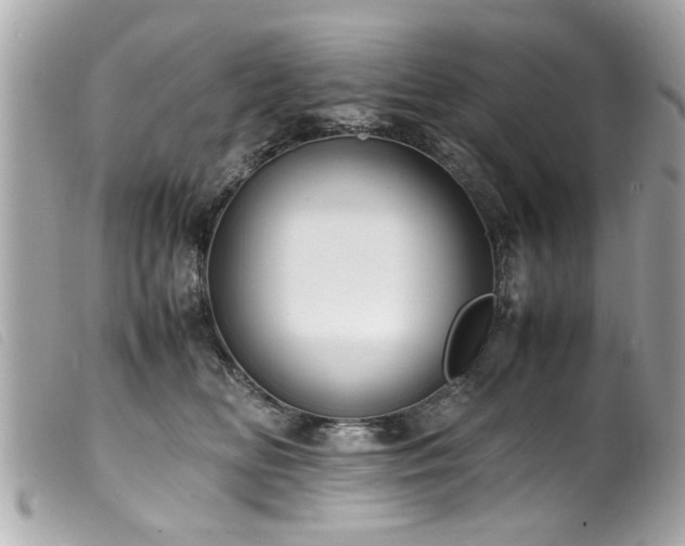 X0000100220518200805301349