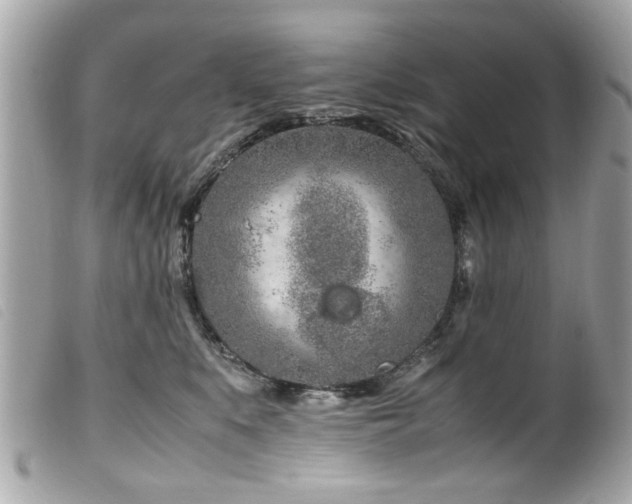X0000100220519200805301349