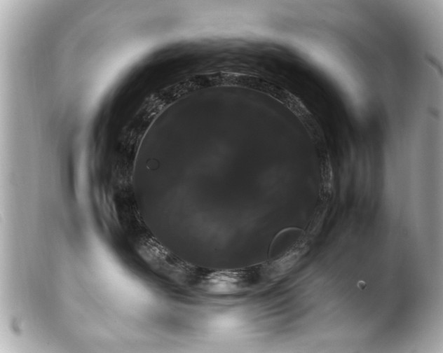 X0000100220526200805301349