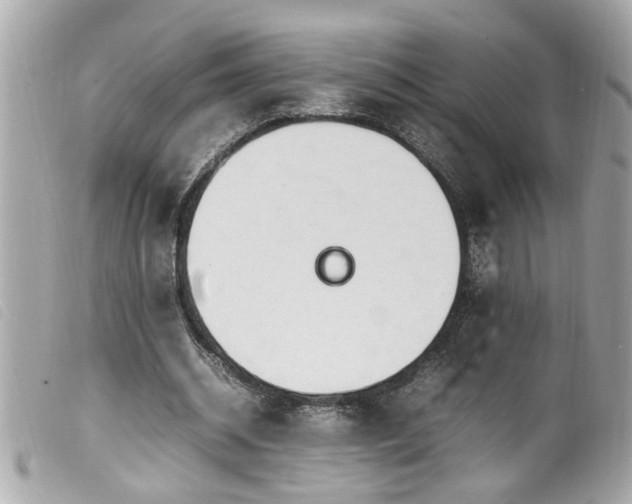 X0000100220534200805301349