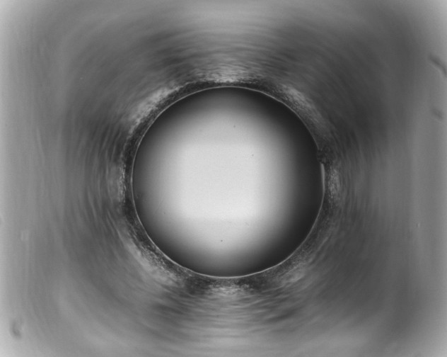 X0000100220540200805301349