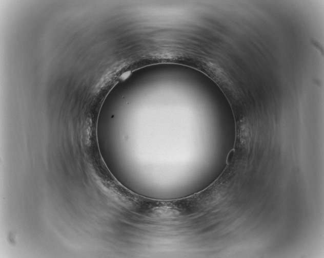 X0000100220544200805301349