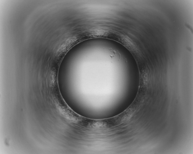 X0000100220546200805301349
