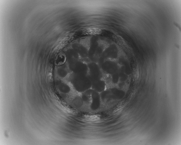 X0000100220553200805301349