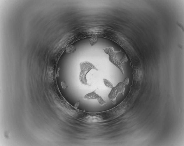 X0000100220557200805301349