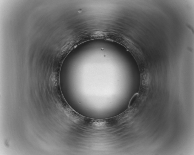 X0000100220560200805301349