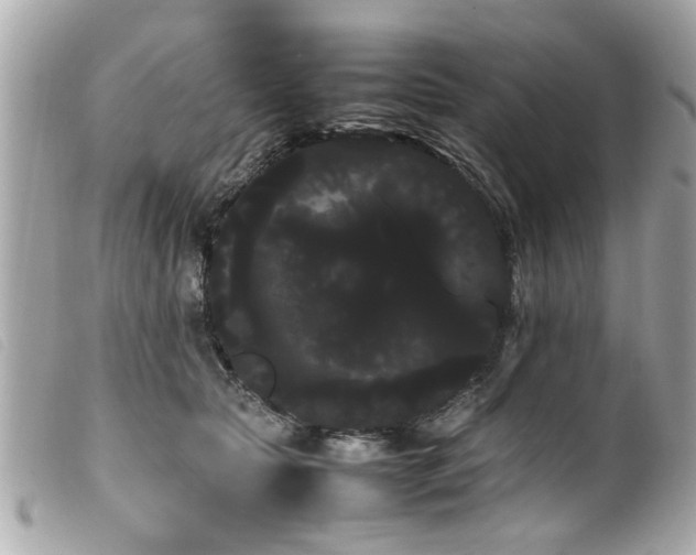 X0000100220561200805301349