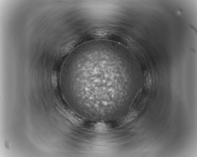 X0000100220562200805301349