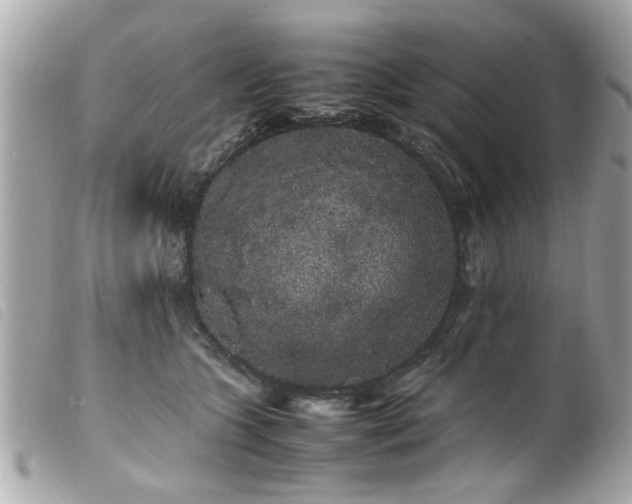 X0000100220563200805301349
