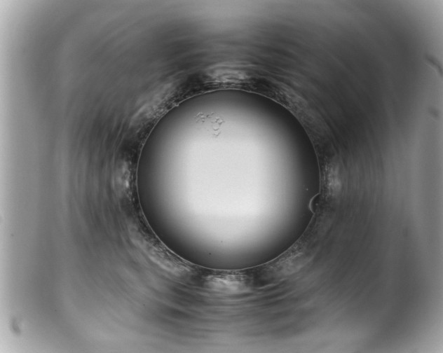 X0000100220567200805301349