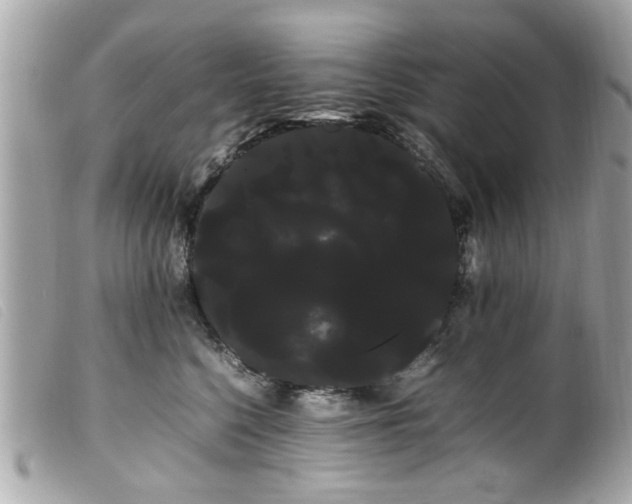 X0000100220568200805301349