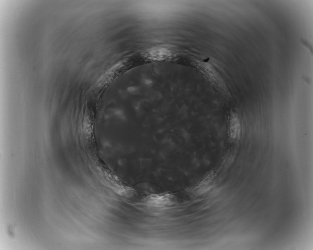 X0000100220569200805301349