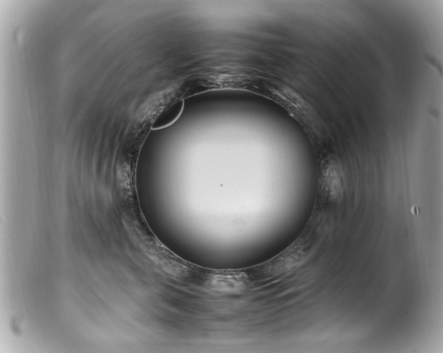 X0000100220571200805301349