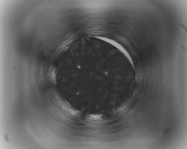 X0000100220573200805301349