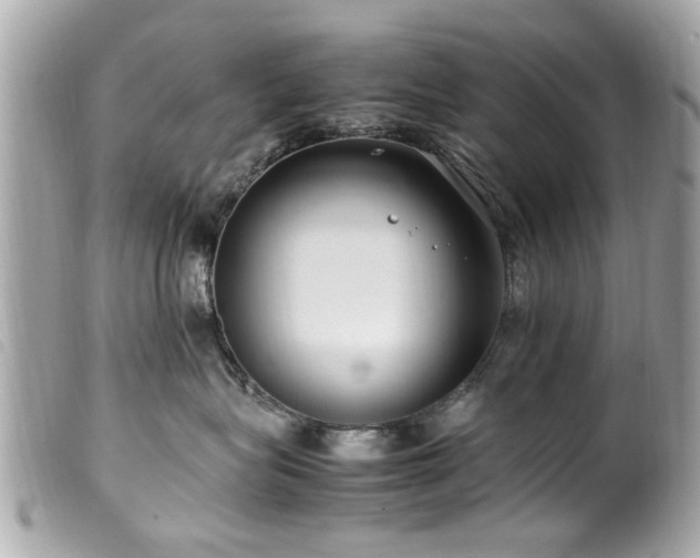 X0000100220575200805301349